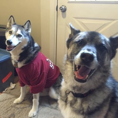 Profile Picture of Steve Traylor (@SteveTraylor3) on Twitter