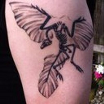 Profile Picture of Steven Le Comber (@le_comber) on Twitter
