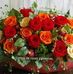 Profile Picture of Marta Toscano (@marta.toscano.3114) on Facebook
