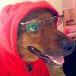 Profile Picture of Tony Knox (@rawrxs) on Instagram