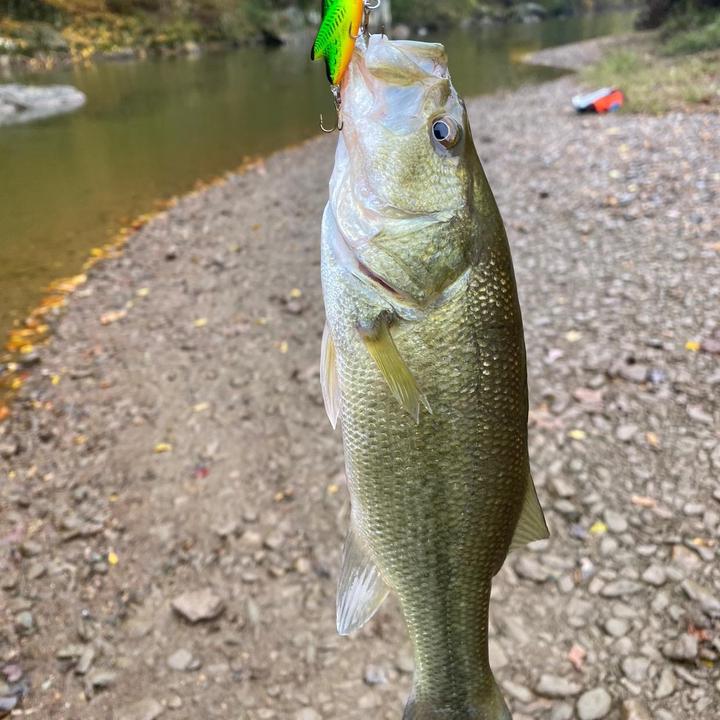 Profile Picture of Jon Propper (@@pafishin) on Tiktok