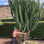 Profile Picture of Tanya Knox (@tanya.knox.5) on Instagram