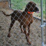 Profile Picture of Spencer Dailey (@sdailey262) on Instagram