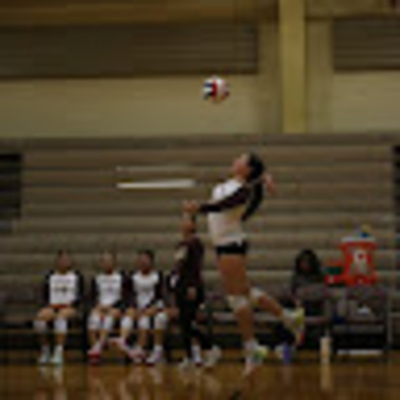 Profile Picture of Daniela Galarza (@danielagalar394) on Poshmark