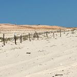 Profile Picture of Clare Mohr (@seymour58) on Instagram