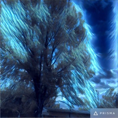 Profile Picture of Brad Colburn (@TrailBoss) on Twitter