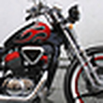 Profile Picture of Steed400 springer (@Steed400 springer) on Flickr