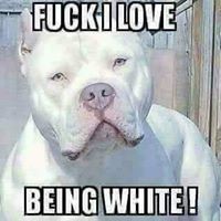 Profile Picture of Michael Powers (@michael-powers-144) on Quora