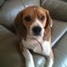 Profile Picture of Thomas Folmer (@thomas.folmer.7) on Facebook