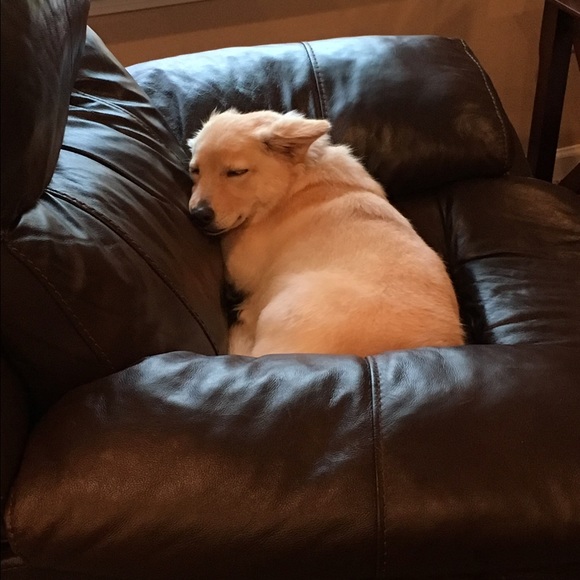 Profile Picture of Rebecca Weinel (@rweinel) on Poshmark