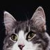 Profile Picture of Robert Wassmuth (@robert.wassmuth.3) on Facebook