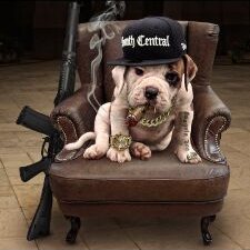 Profile Picture of ... (@Buddy__Baxter) on Twitter