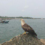 Profile Picture of Sam Varughese (@sam.varughese) on Instagram