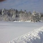 Profile Picture of Arnold Warren (@arnold.warren) on Instagram