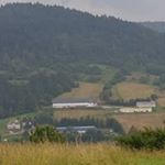 Profile Picture of Daniel Kastelik (@kastelikdaniel) on Instagram