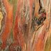 Profile Picture of Robin Bonnel (@robinbonnel) on Pinterest