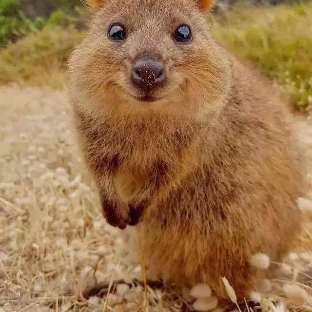 Profile Picture of Group of pat day (@@c_pt520) on Tiktok