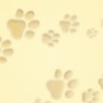 Profile Picture of Mitsuko  Ota (@mitsukoota) on Instagram