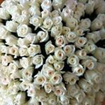 Profile Picture of Lidia Lopez (@lidia.lopez.reyes) on Instagram