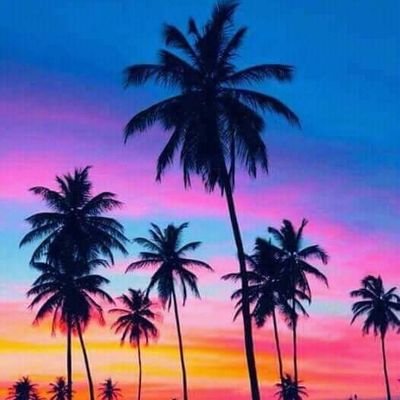 Profile Picture of Edith Araujo Ortiz (@EdithAraujoOrt1) on Twitter