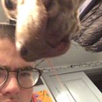 Profile Picture of Matthew Reno (@mathyou1738) on Instagram