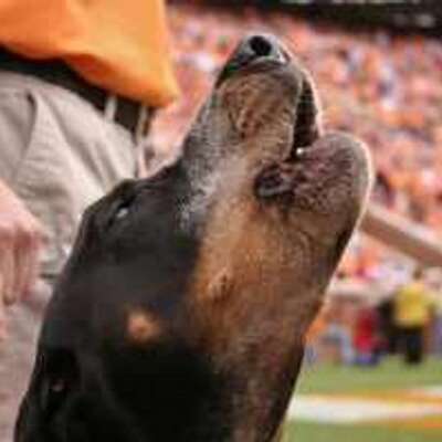 Profile Picture of Chris Hodge (@LiberTennessee) on Twitter