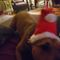 Profile Picture of Stephen Sill (@stephen.sill.9883) on Facebook
