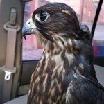 Profile Picture of Catherine Mike (@catherinemike4913) on Instagram