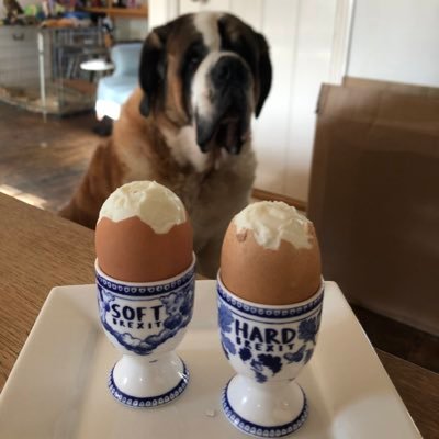 Profile Picture of Stephen Barber (@barstephen1) on Twitter