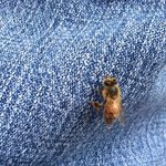 Profile Picture of Stephen Klepper (@stephen.klepper) on Instagram