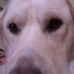 Profile Picture of Scott Gress (@scott.gress.58) on Facebook