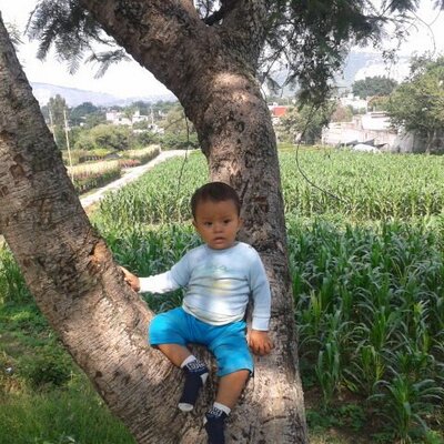 Profile Picture of Alan Omar Ortiz (@alanomar_03) on Twitter