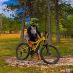 Profile Picture of Riccardo Bartocci (@fvk_bartocci) on Instagram