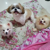 Profile Picture of Tomi, Tyler, Clover And Me (@tomitylercloverandme4822) on Youtube