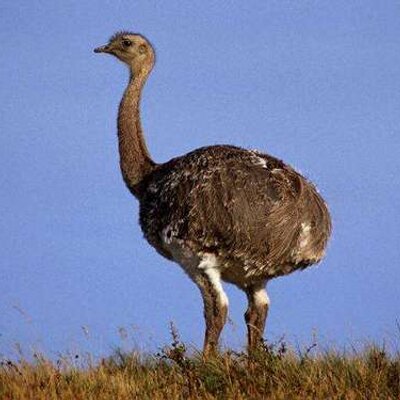 Profile Picture of Brian Dupre (@oax78) on Twitter