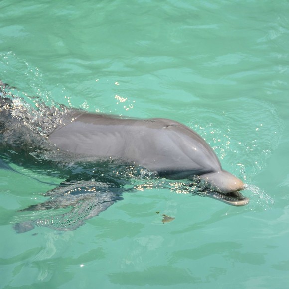 Profile Picture of Starlena C (@queenz881) on Poshmark