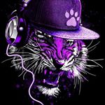 Profile Picture of larry everett (@triggamike2) on Instagram