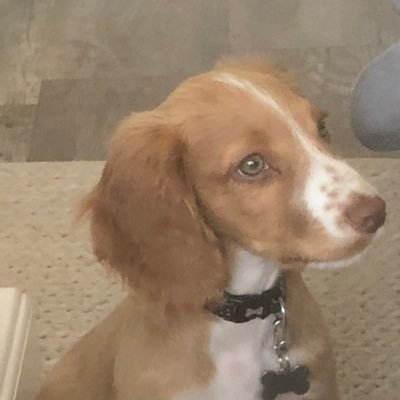 Profile Picture of Ian Chandler (@witherwack99) on Twitter