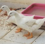 Profile Picture of Mohamed Issa (@Mohamed-Issa) on Facebook