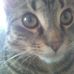 Profile Picture of Robert Jedlička (@robert.jedlicka.71) on Facebook