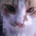 Profile Picture of Toby Levin (@toby.levin.587) on Facebook