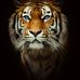 Profile Picture of Daniel Garton (@daniel.garton.3) on Facebook