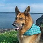 Jake Ayers - Instagram Profile Picture of Jake Ayers (@shannalee29) on Instagram