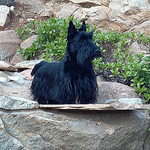 Profile Picture of Holidayhorsecare@att.net (@holidayhorsecare@att.net) on Flickr