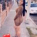 Profile Picture of Claudia Losoya (@claudia.losoya.5) on Facebook