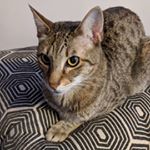 Chris - Instagram Profile Picture of Chris (@chris.medved) on Instagram