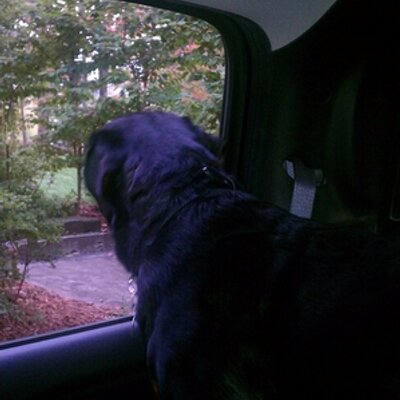 Profile Picture of Dottie Hayes (@AugustWestHayes) on Twitter