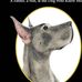 Profile Picture of Richard Ebner (@richard.ebner.779) on Facebook