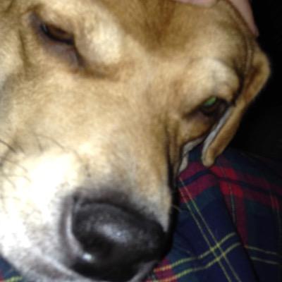 Profile Picture of Matt Mickelson (@mickelsonotphil) on Twitter