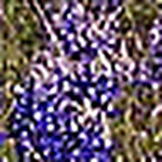 Profile Picture of Lanita Legan (@lylegan) on Flickr